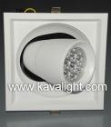 LED DownLighters