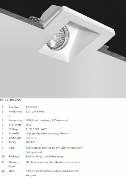 LED DownLighters