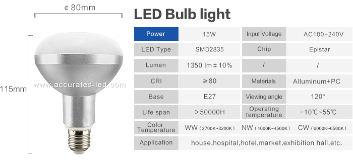 LED Bulb Lights