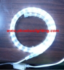 LED Rope Lights